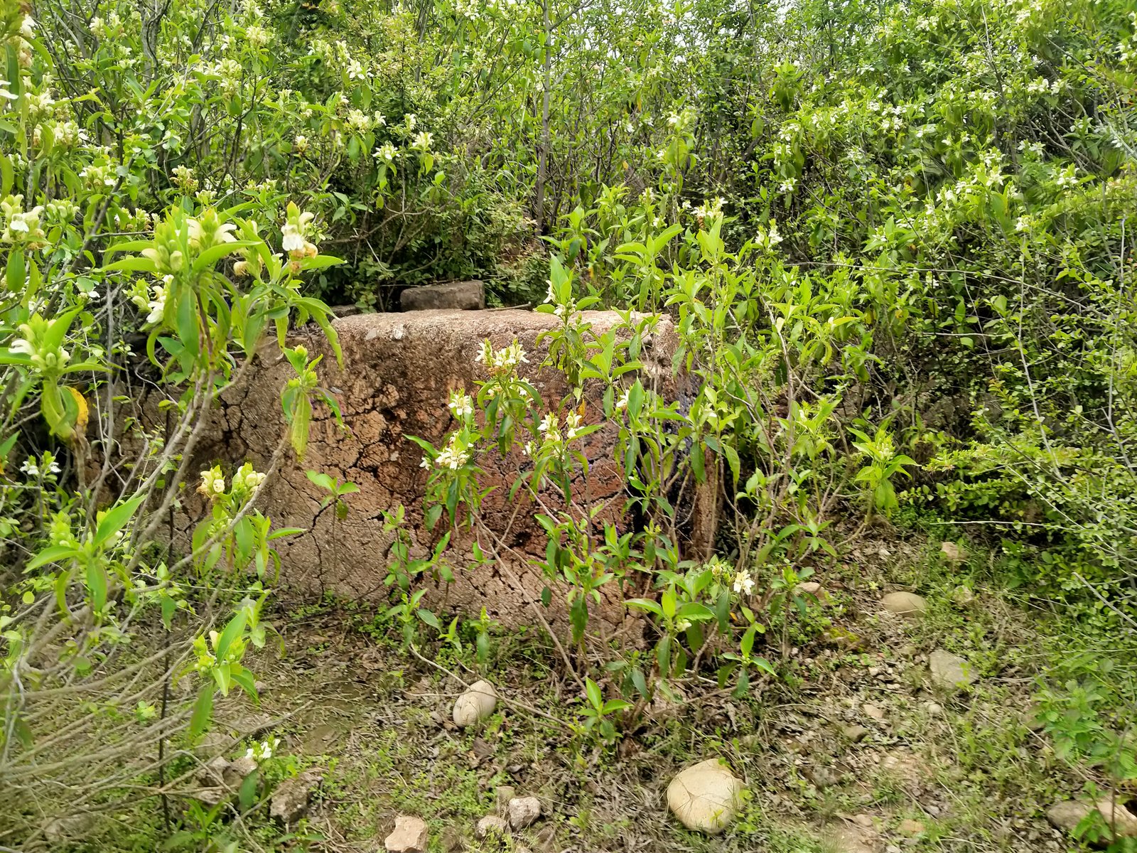 Travel Photo